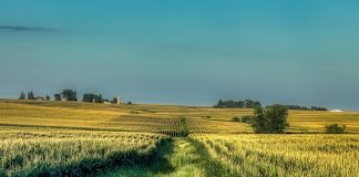 Iowa