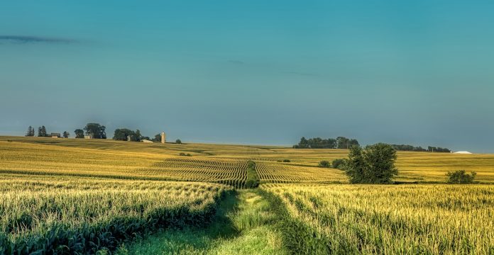 Iowa Iowa