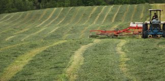forages