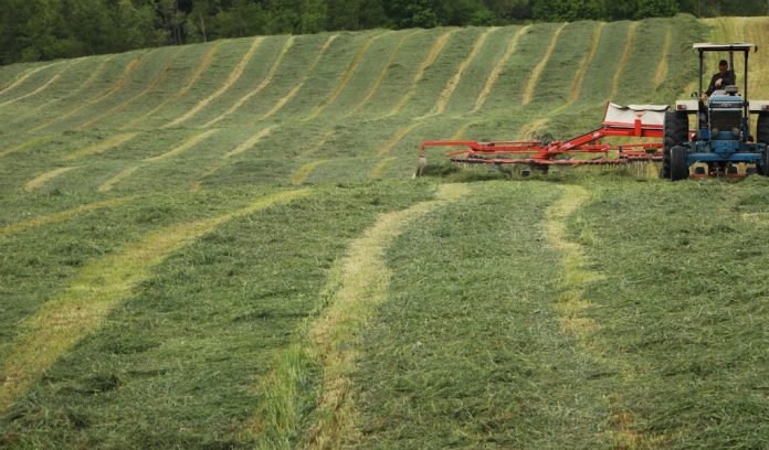 forages forages