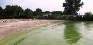 algae bloom lake erie