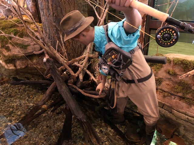 Bass Pro Shops display Bass Pro Shops display