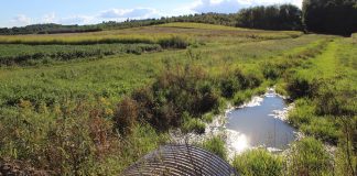 water quality, tile, CRP, Ohio farm