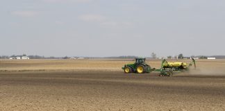 delayed planting, corn,