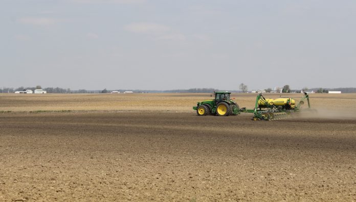 Planting corn delayed planting, corn,