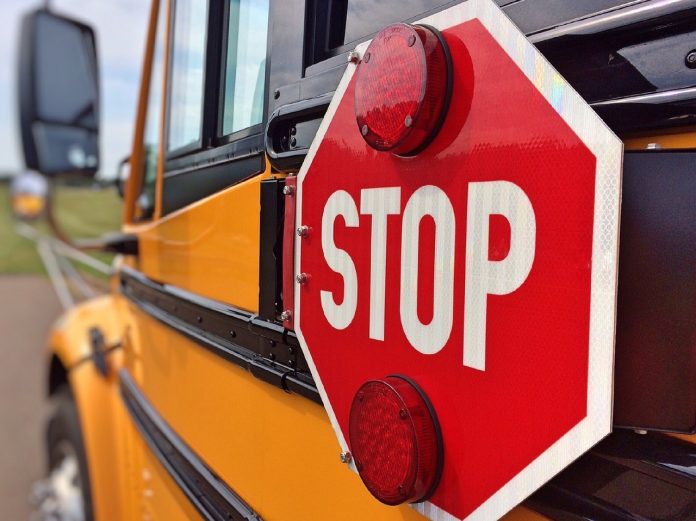 school bus school bus