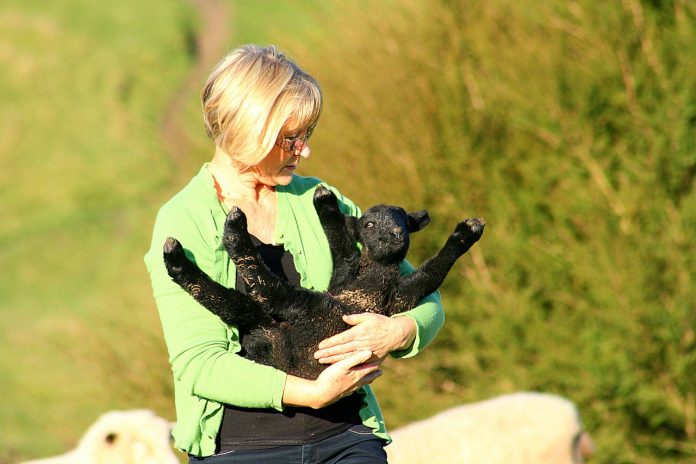 woman with a goat woman with a goat