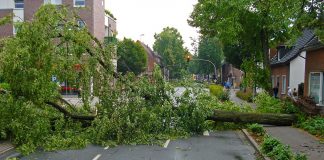 storm damage