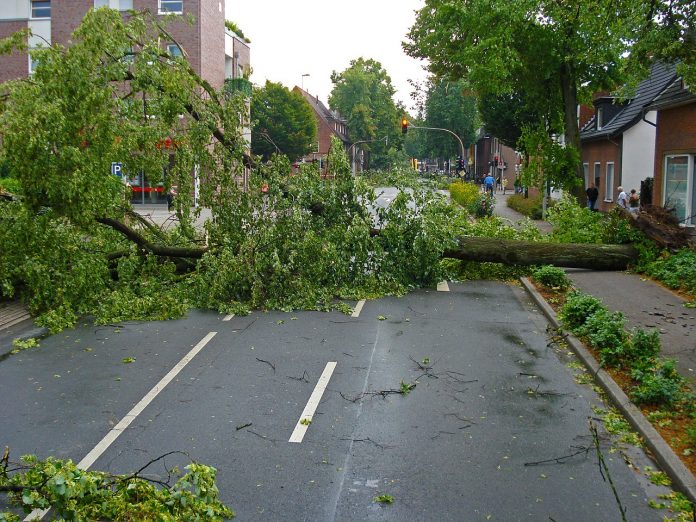 storm damage storm damage
