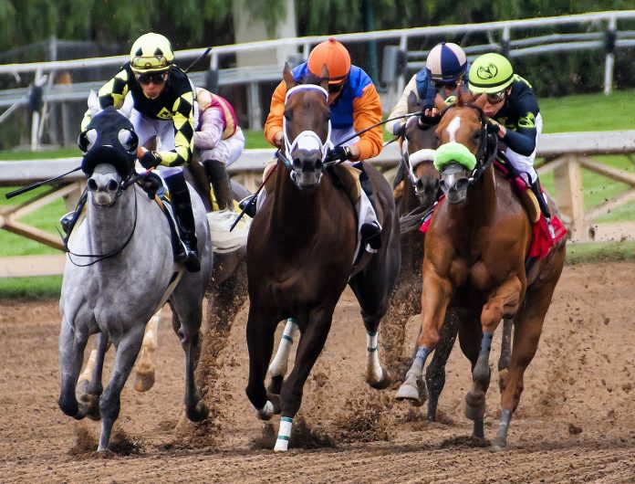 horse races horse races