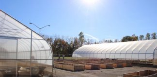 OSU Mansfield, micro-farm, local food,