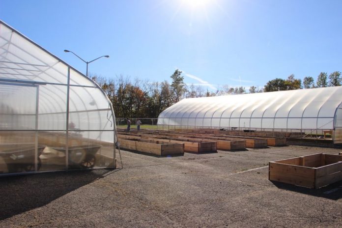 mansfield-project OSU Mansfield, micro-farm, local food,