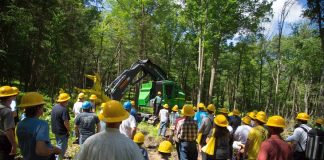 timber expo