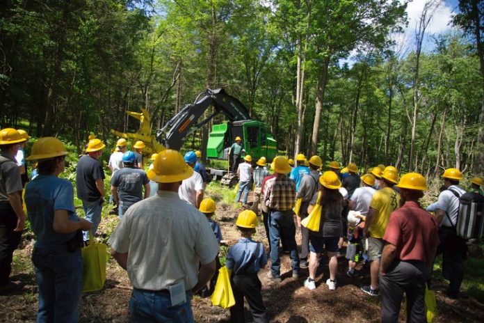 timber expo timber expo