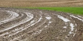 wet field, prevented planting, weather