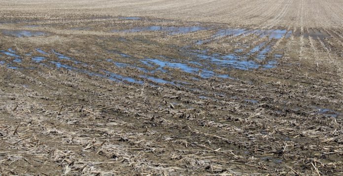 wet field delayed planting, wet field, Ohio farm,