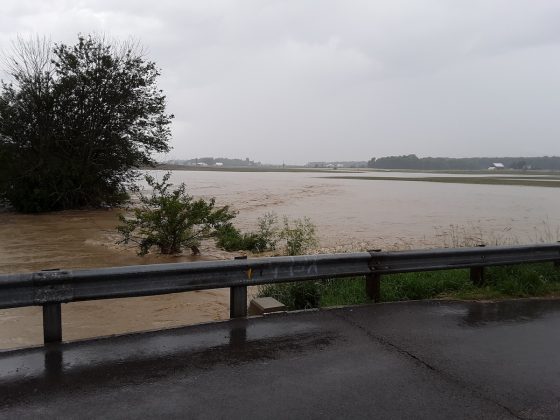 flood waters in a shelby county corn field