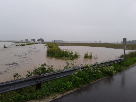flood waters in a shelby county corn field