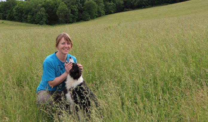 Rebecca-Miller-Farm and Dairy Rebecca Miller Farm and Dairy editor sheep