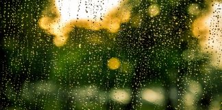 rain