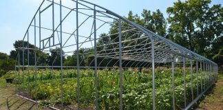 rural development, tunnel greenhouse, USDA,