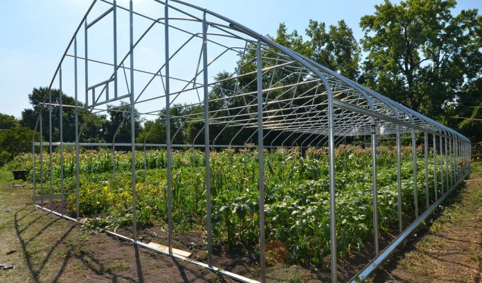 rural-development rural development, tunnel greenhouse, USDA,