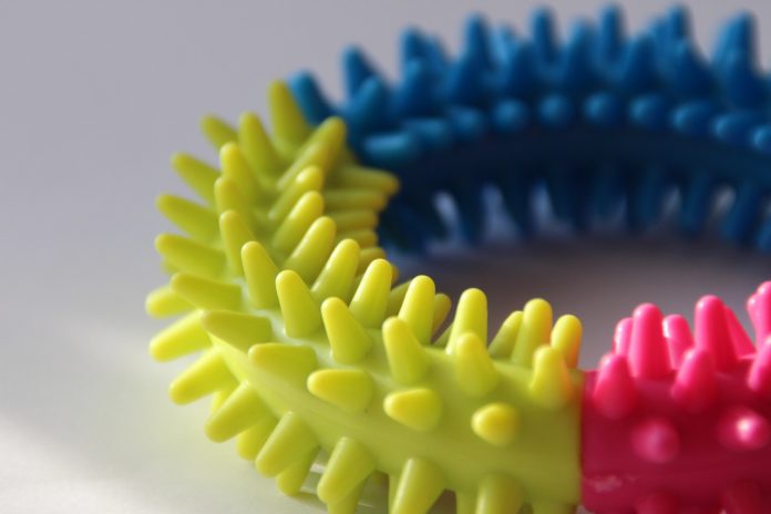 dog toy dog toy