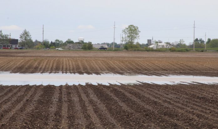 flooded field MFP USDA prevented planting