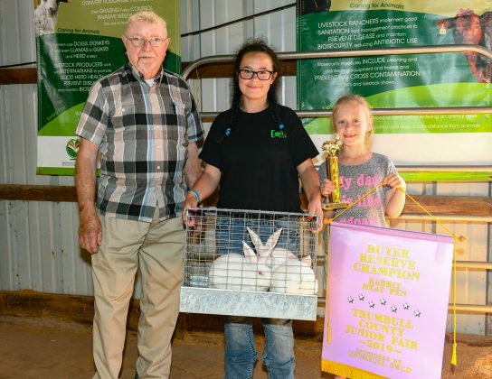reserve-champion-rabbit