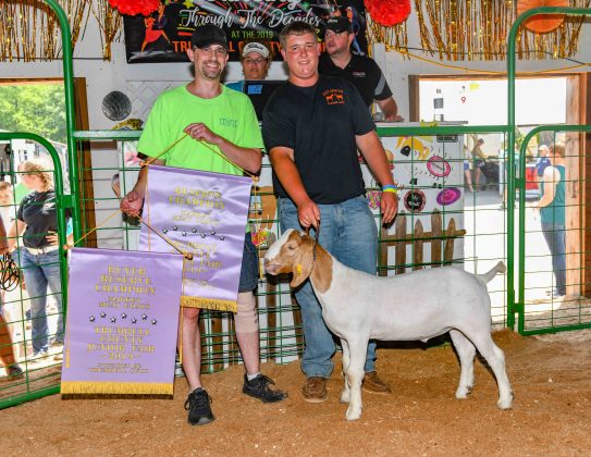 reserve-market-goat