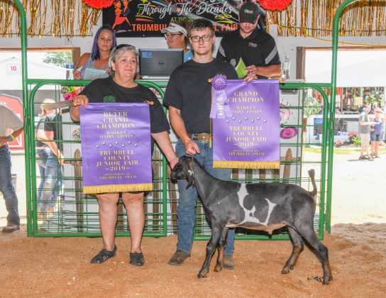 grand-dairy-goat