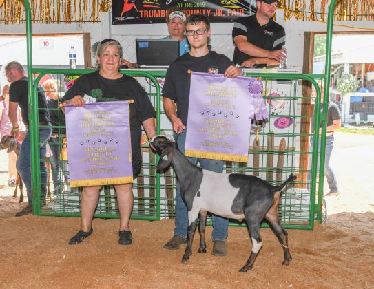 reserve-dairy-goat