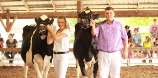 Harrison Dairy