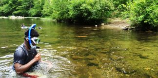 stream snorkling