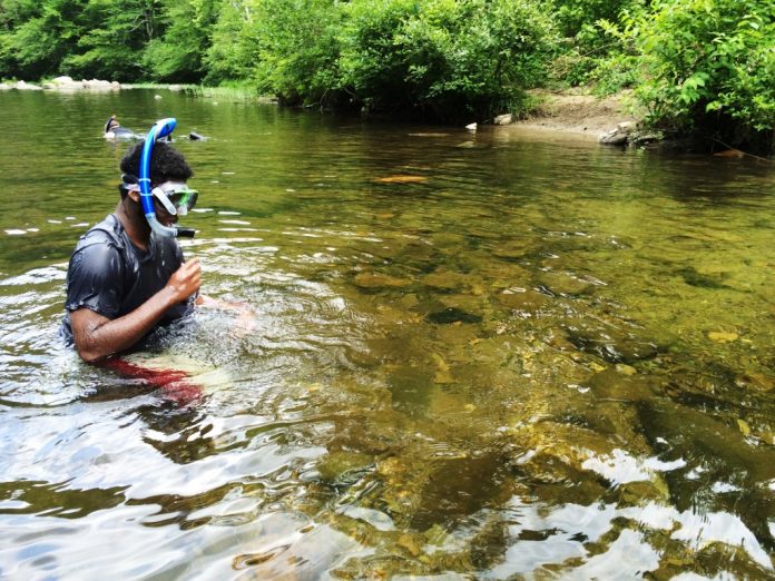 stream snorkling stream snorkling