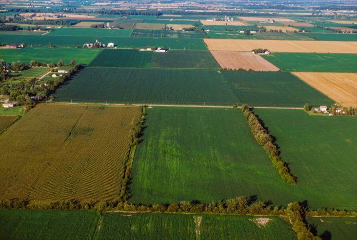 fields fields