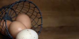 eggs