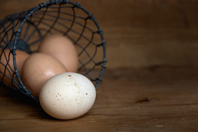 eggs eggs