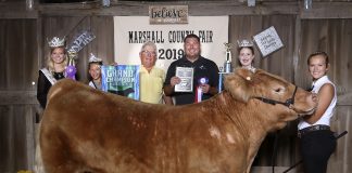 Marshall County Fair grand champion steer