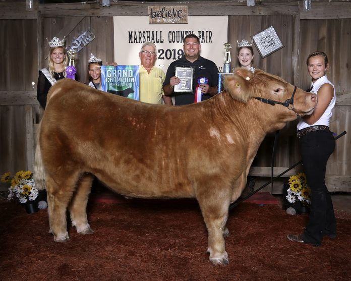 Marshall County Fair grand champion steer Marshall County Fair grand champion steer