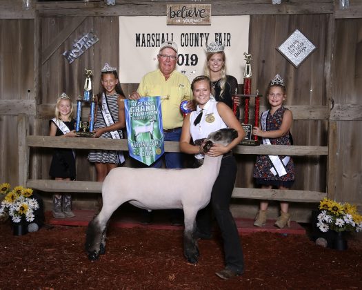 Marshall County Fair reserve champion lamb