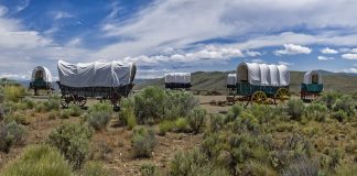 covered wagons