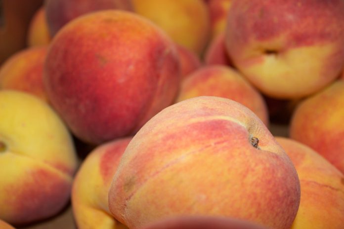 peach_truck_4 peach truck 4