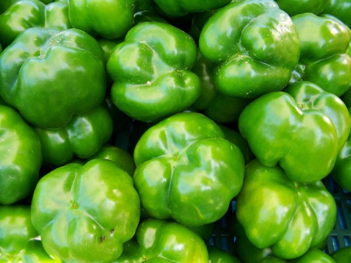 green peppers green peppers