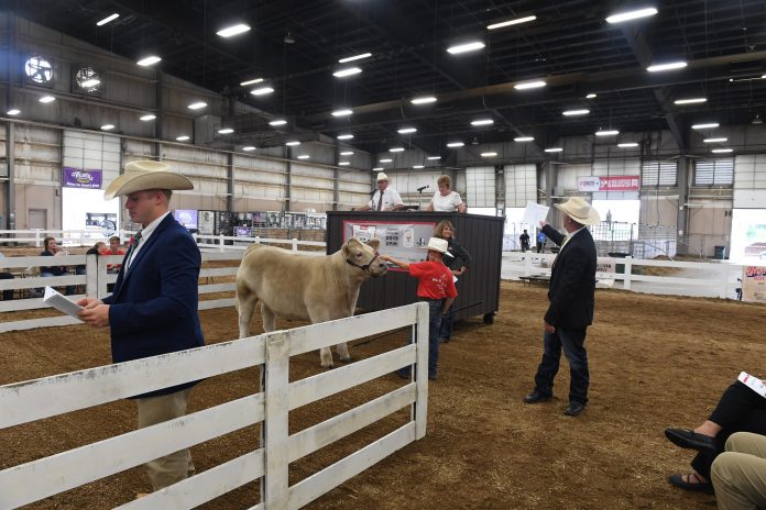 OSU Celebrity Steer Show OSU Celebrity Steer Show
