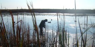 duck hunting