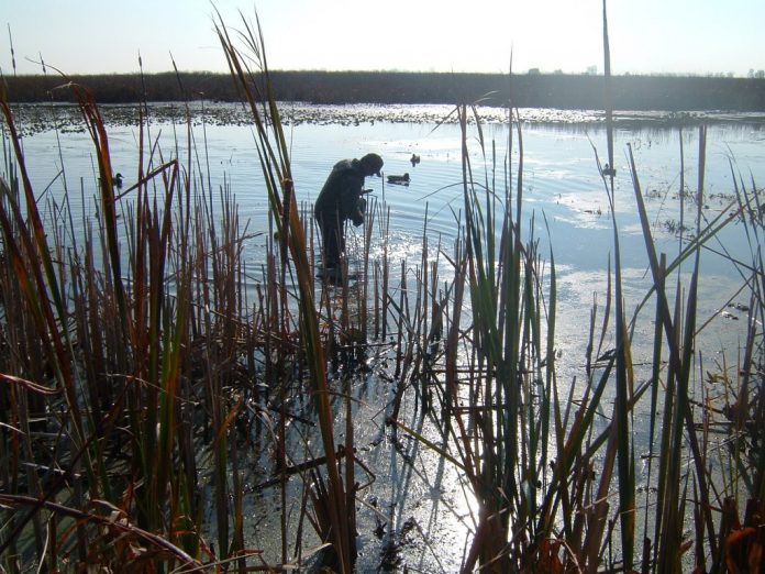 duck hunting duck hunting