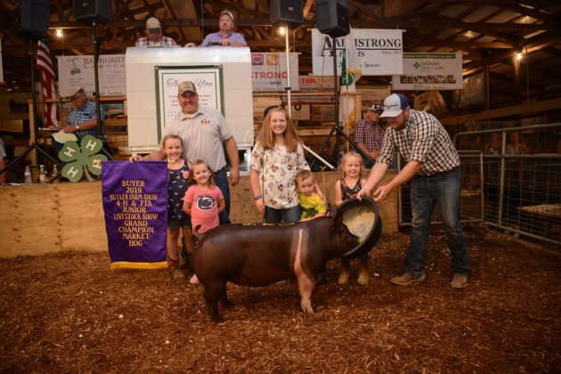 Butler County Fair Grand Champion Hog