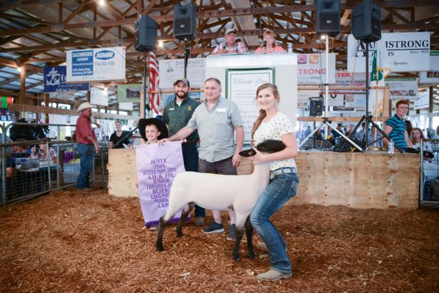 Butler County Fair Reserve Champion Lamb