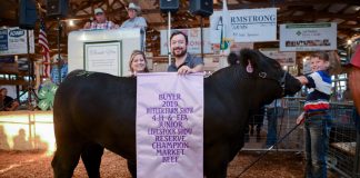 Butler County Fair Reserve Champion Steer